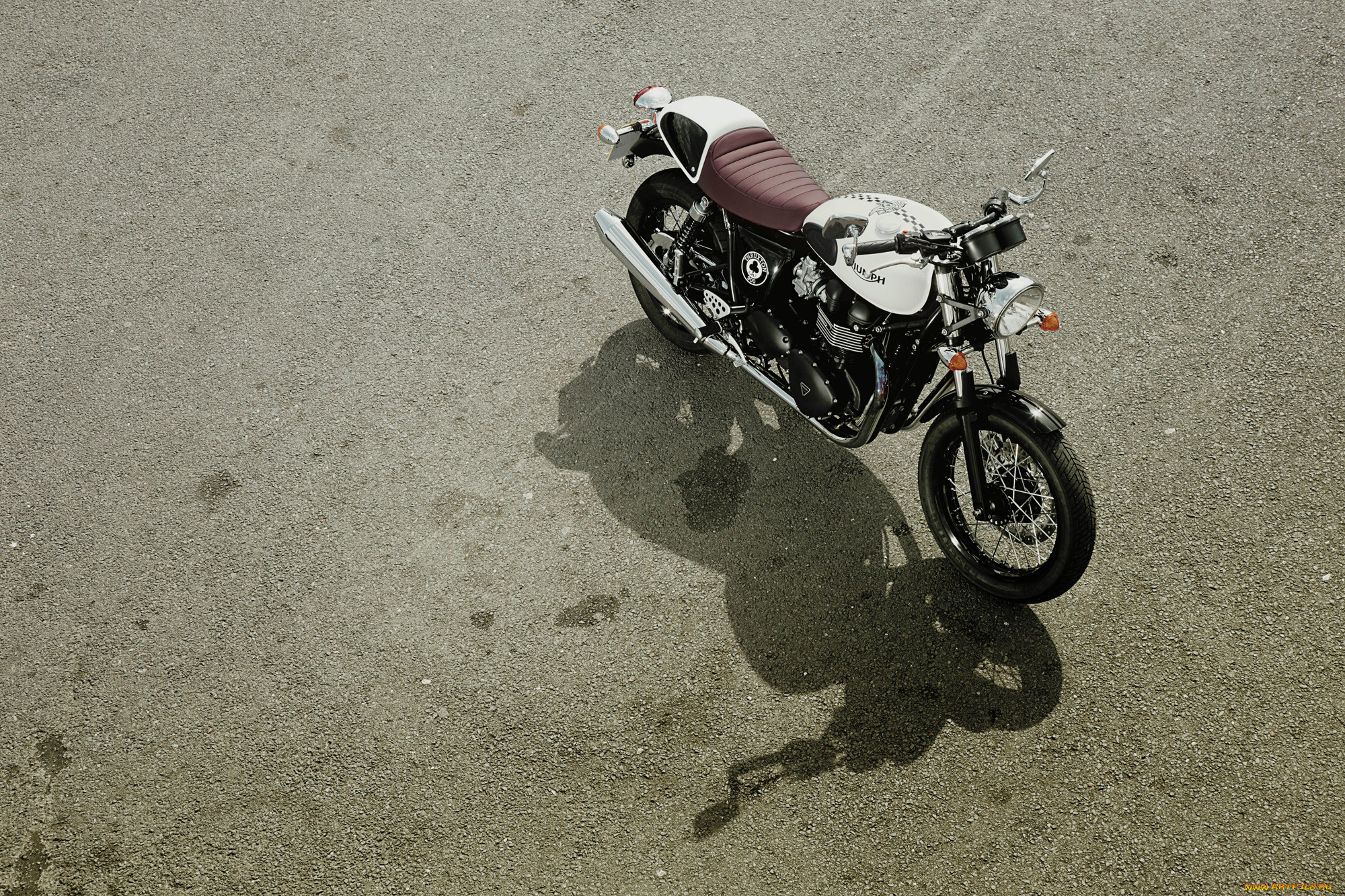 , triumph